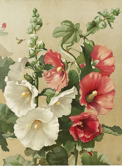 Fleurs de Ellen T. Fisher