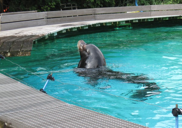 Zoo d'Amiens -2012