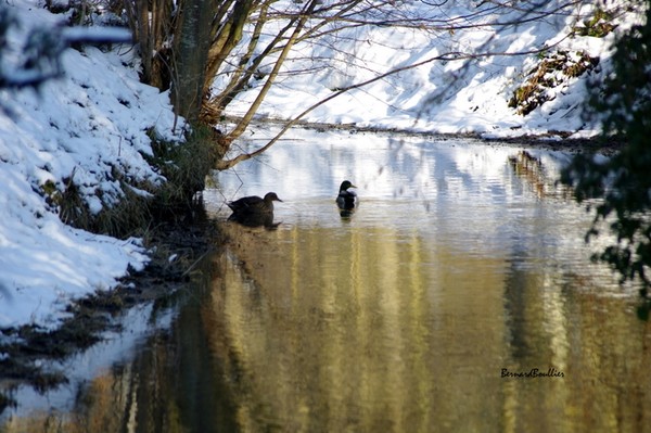 Paysages d'hiver