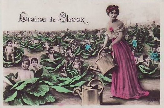  Bébés choux