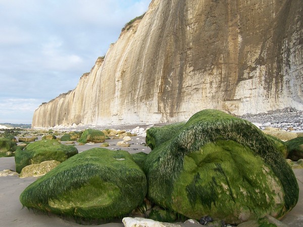 Plage de Haute Normandie