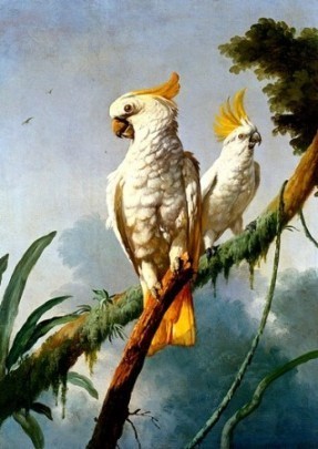 Superbe peinture d'oiseaux