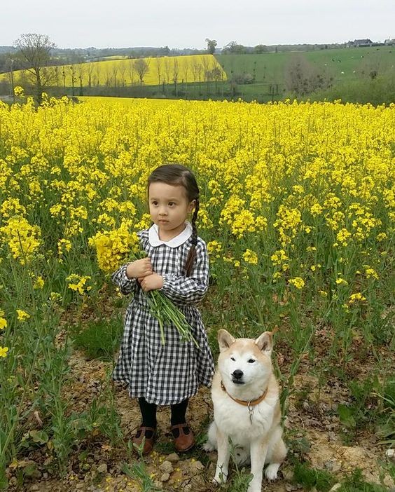 Le temps de l'innocence