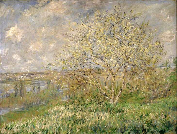 Peintre célèbre -Claude Monet