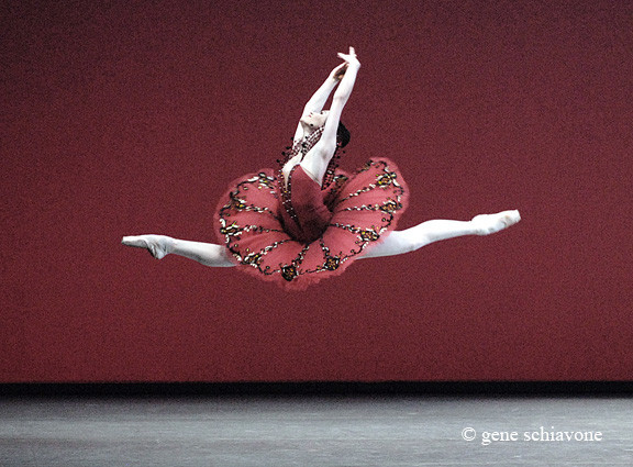 Danseuses (rs)classique