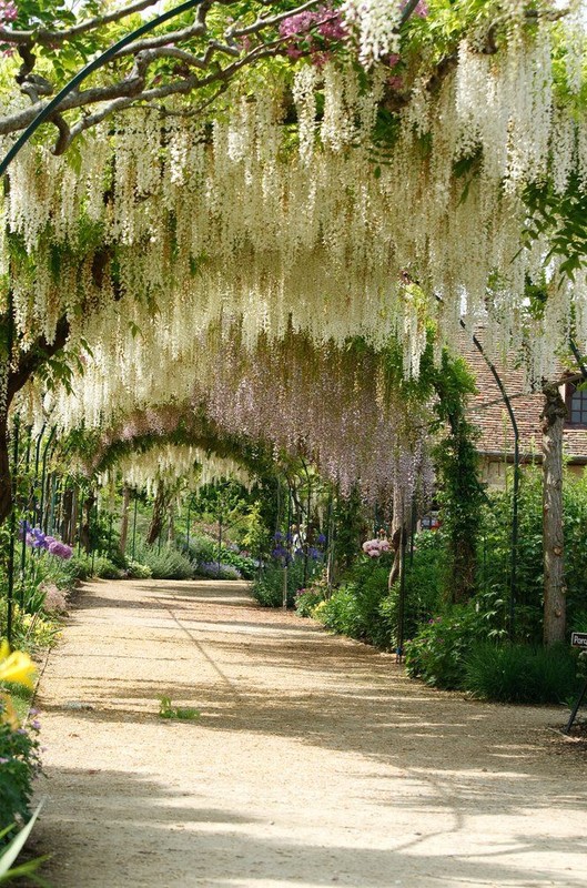 Beau village d'Apremont-sur-Allier