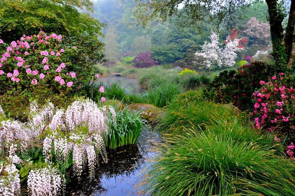 Parc et jardin fleuris