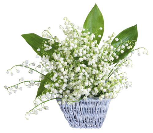 Le temps du Muguet