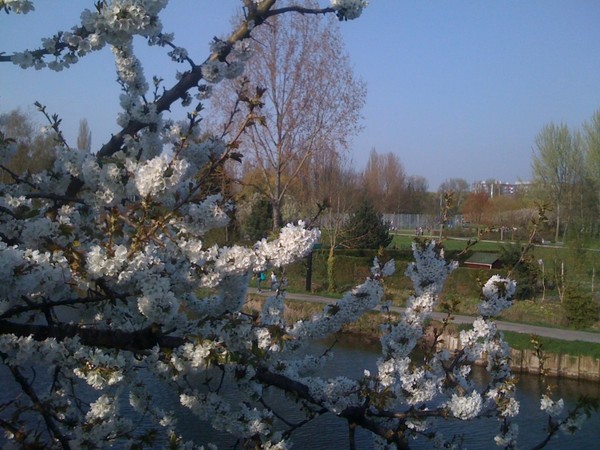 Paysages -Printemps -Eté