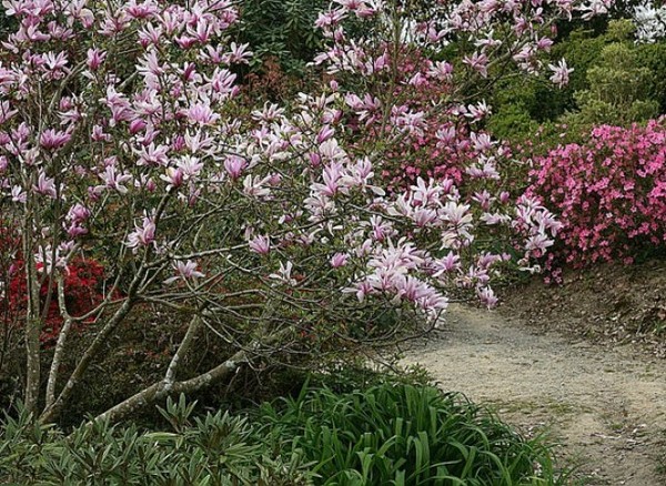 Paysages -Printemps -Eté