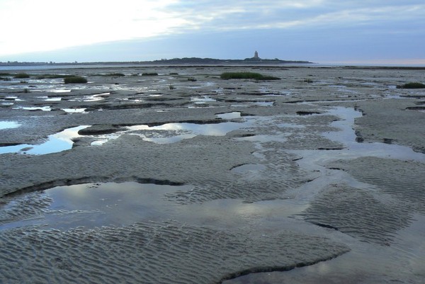 Plage de Basse Normandie (Manche)