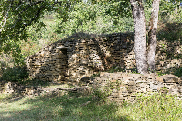 Beau village de Camon