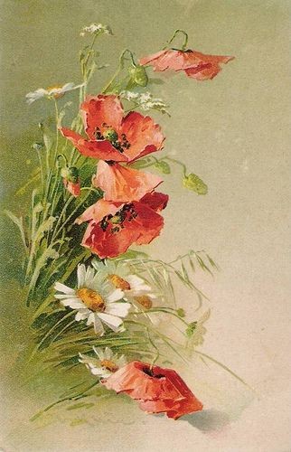 Fleurs de Catherine Klein