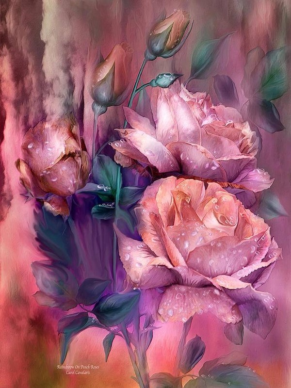 Fleurs de Carol Cavalaris