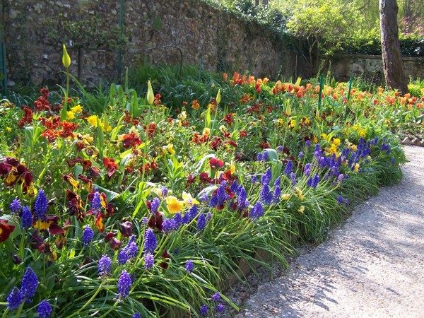 Paysages -Printemps -Eté