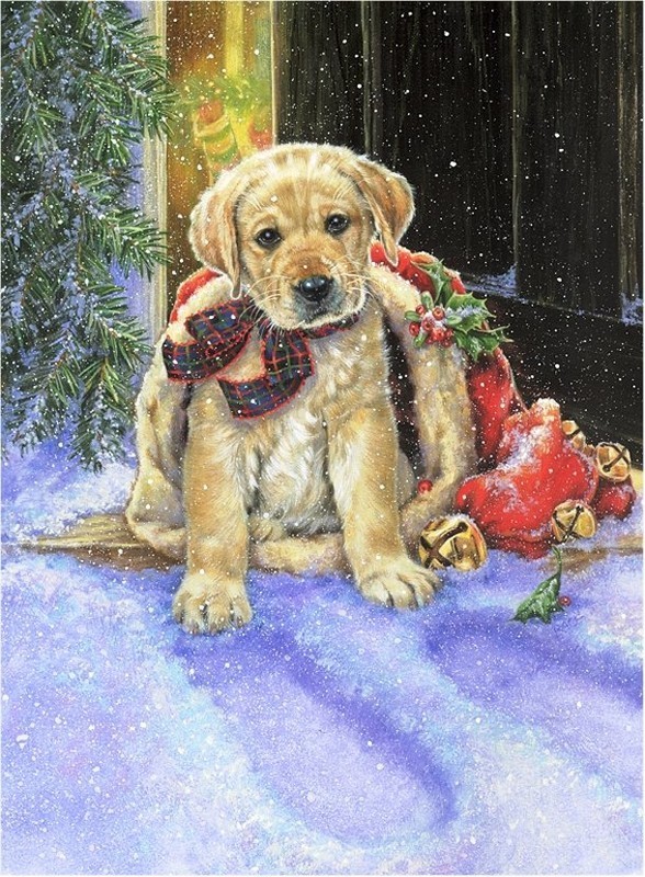 Animaux de Noël