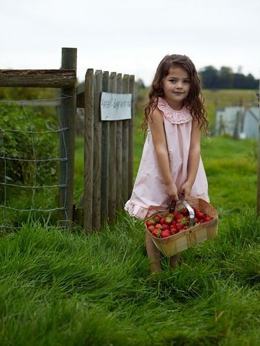 Le temps de l'innocence