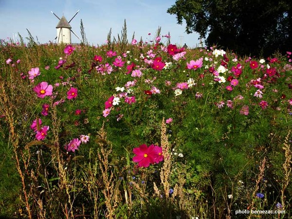 Paysages -Printemps -Eté