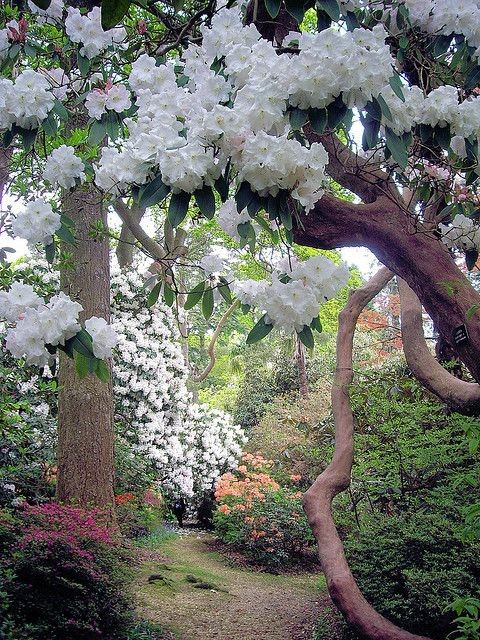 Parc et jardin  fleuris