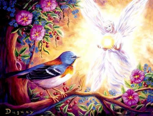 Lumiére Divine( Mario Duguay)