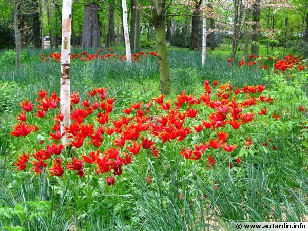 Parc fleuri