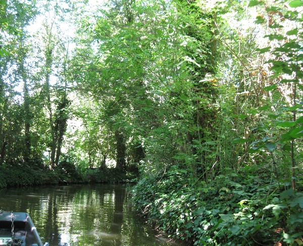 Amiens -Les hortillonnages