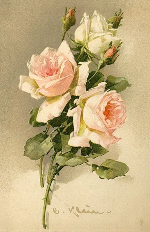 Fleurs de Catherine Klein