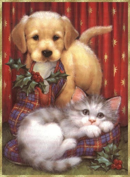 Chiot et chaton de Noël