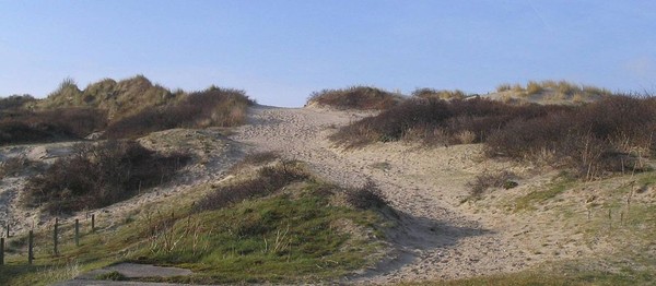 Plage de Picardie