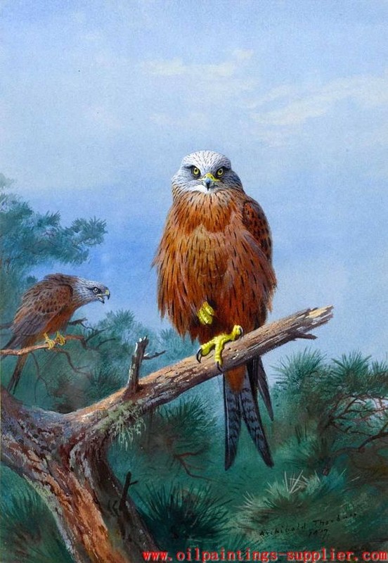 Superbes peintures d'oiseaux