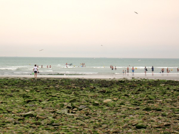 Wimereux-La plage