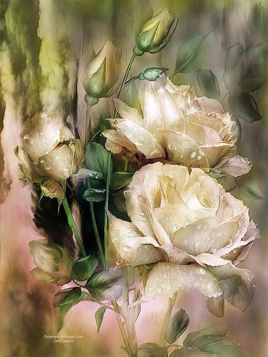 Fleurs de Carol Cavalaris