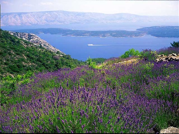 Paysages -Printemps -Eté