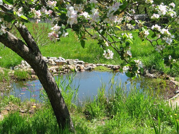 Paysages -Printemps -Eté