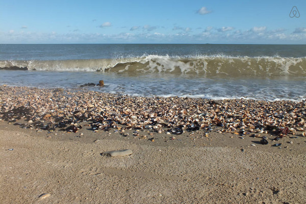 Plage de Basse Normandie (Manche)