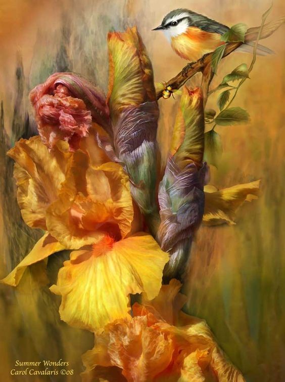 Fleurs de Carol Cavalaris