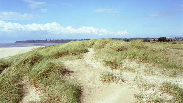 Plage de Basse Normandie (Manche)