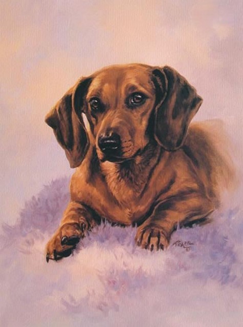  Animaux de Linda Picken (chien)