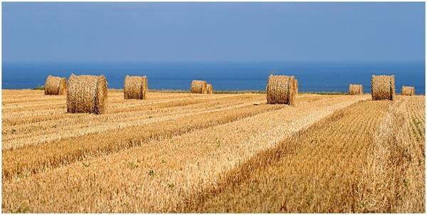 Paysages -Printemps -Eté