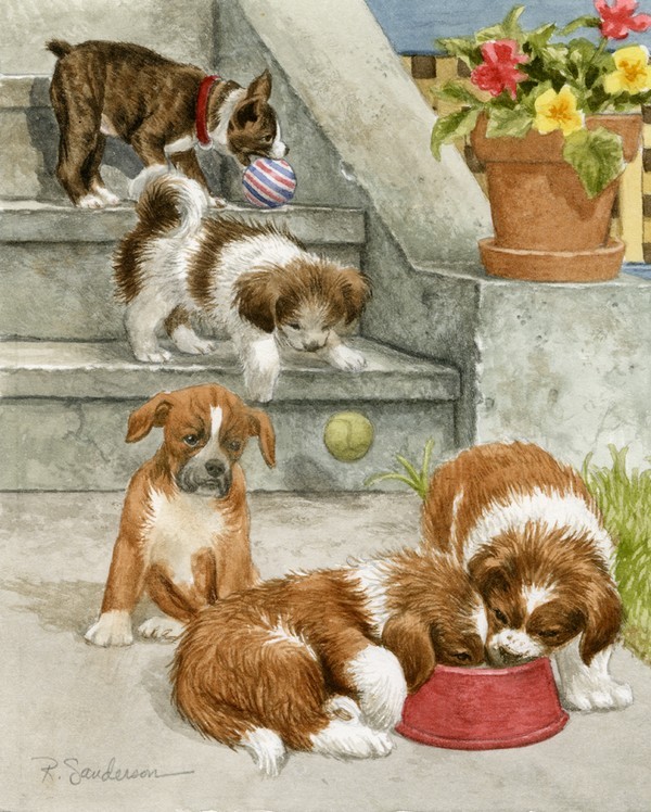 Peintures de Ruth Sanderson 