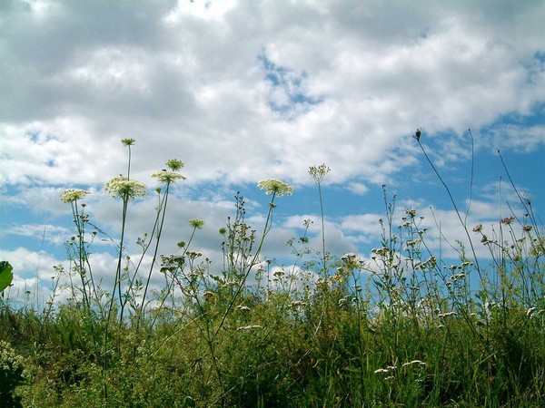 Paysages -Printemps -Eté