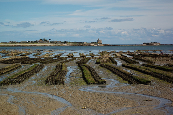 Plage de Basse Normandie (Manche)