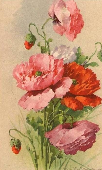 Fleurs de Catherine Klein