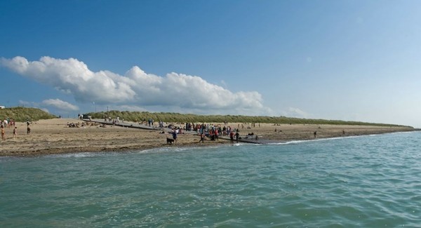 Plage de Basse Normandie (Manche)