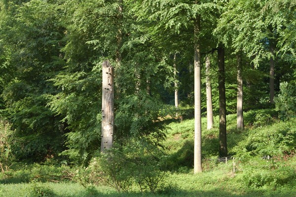 Paysages -Printemps -Eté