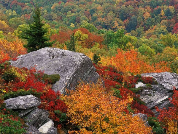 Paysage d'automne