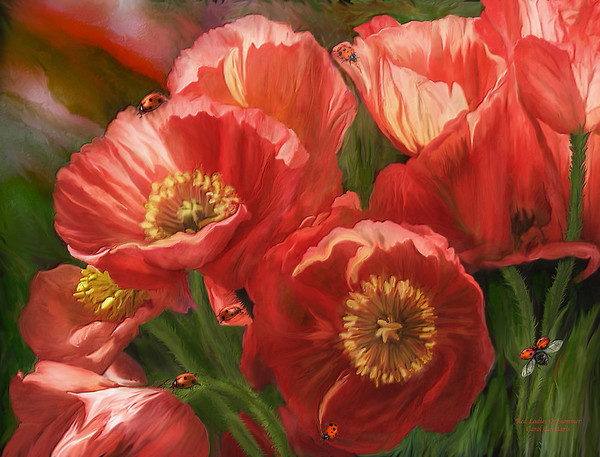 Fleurs de Carol Cavalaris