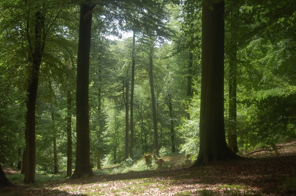 Paysages -Printemps -Eté