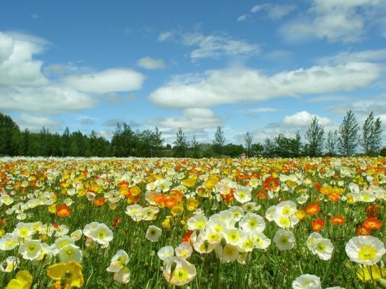 Paysages -Printemps -Eté