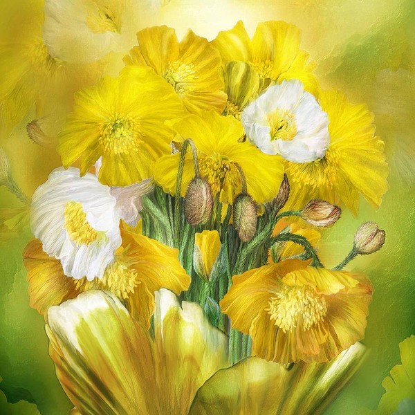 Fleurs de Carol Cavalaris